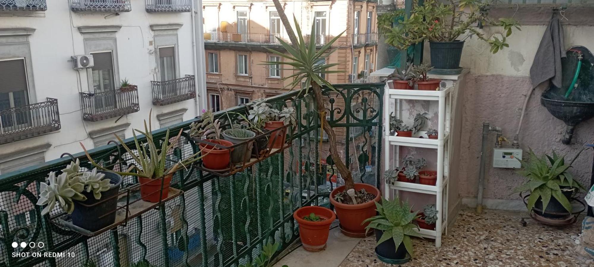 B&B Liberty House Napoli Dış mekan fotoğraf